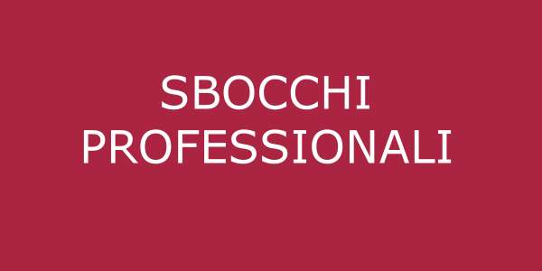 Sbocchi professionali